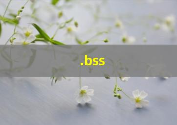 .bss