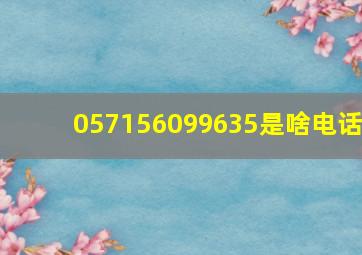 057156099635是啥电话