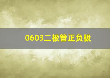 0603二极管正负极