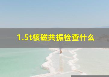 1.5t核磁共振检查什么