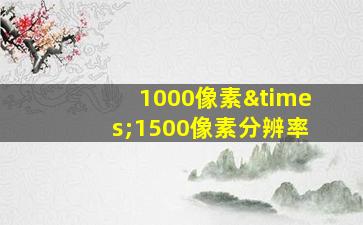 1000像素×1500像素分辨率