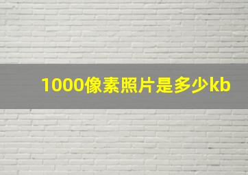 1000像素照片是多少kb