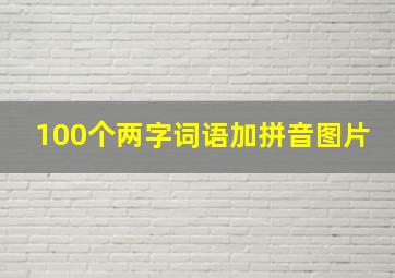 100个两字词语加拼音图片