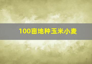 100亩地种玉米小麦