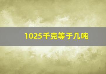 1025千克等于几吨