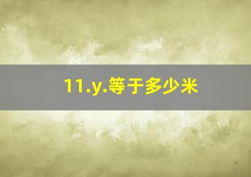 11.y.等于多少米