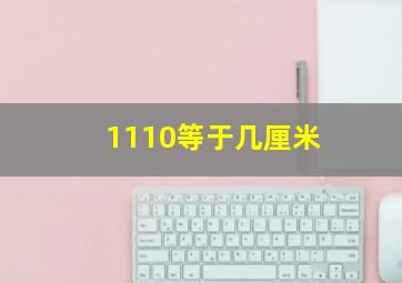 1110等于几厘米