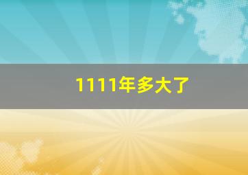 1111年多大了