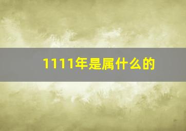 1111年是属什么的