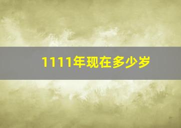 1111年现在多少岁