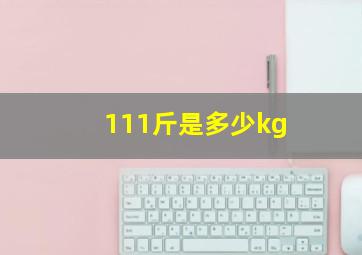 111斤是多少kg