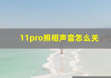 11pro照相声音怎么关