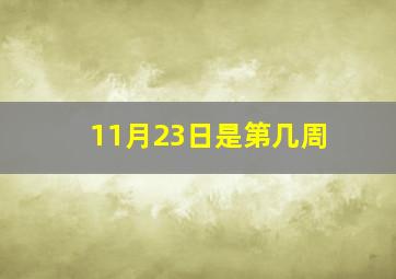 11月23日是第几周