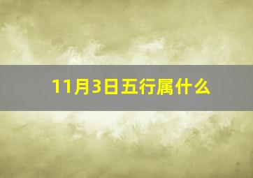 11月3日五行属什么