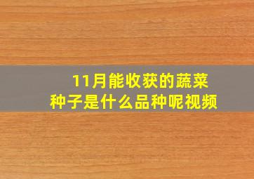 11月能收获的蔬菜种子是什么品种呢视频