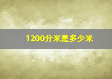 1200分米是多少米