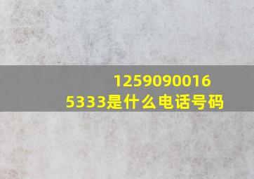 12590900165333是什么电话号码