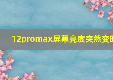 12promax屏幕亮度突然变暗