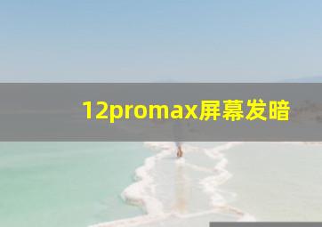 12promax屏幕发暗