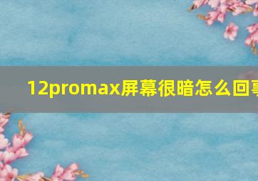 12promax屏幕很暗怎么回事