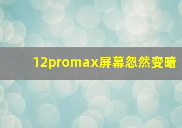 12promax屏幕忽然变暗