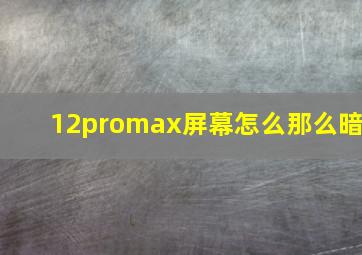 12promax屏幕怎么那么暗