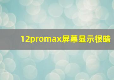 12promax屏幕显示很暗