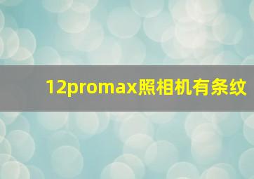 12promax照相机有条纹