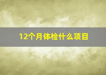 12个月体检什么项目