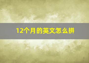 12个月的英文怎么拼