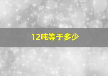 12吨等于多少