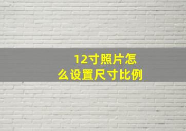 12寸照片怎么设置尺寸比例