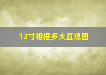 12寸相框多大直观图