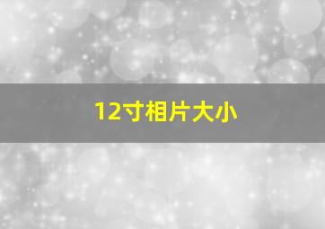 12寸相片大小