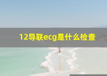 12导联ecg是什么检查