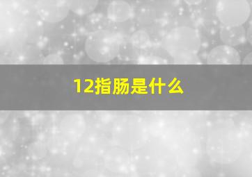 12指肠是什么