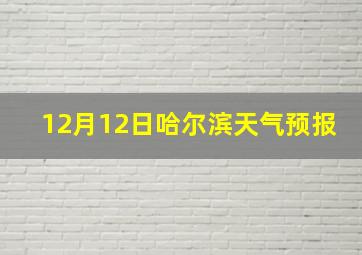 12月12日哈尔滨天气预报