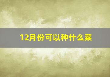 12月份可以种什么菜