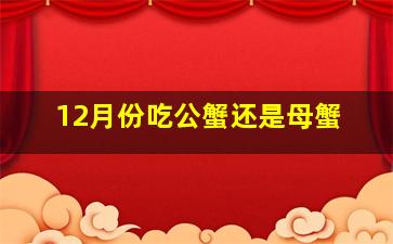 12月份吃公蟹还是母蟹