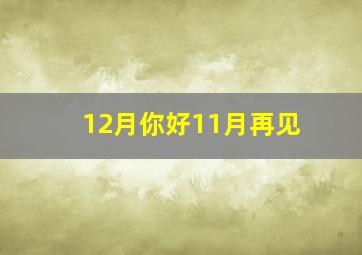 12月你好11月再见