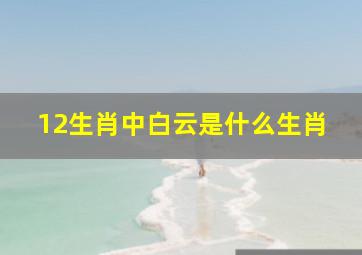 12生肖中白云是什么生肖