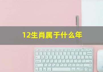 12生肖属于什么年