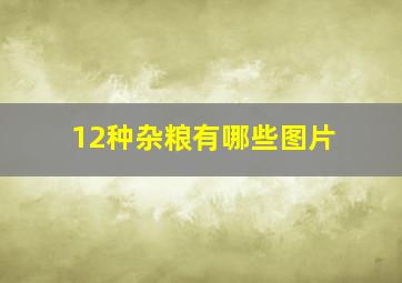 12种杂粮有哪些图片