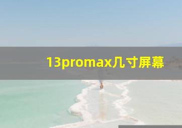 13promax几寸屏幕