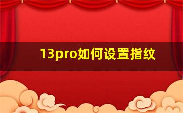 13pro如何设置指纹