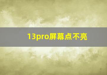 13pro屏幕点不亮