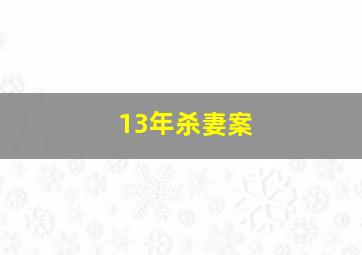 13年杀妻案