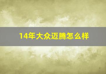 14年大众迈腾怎么样