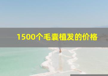 1500个毛囊植发的价格