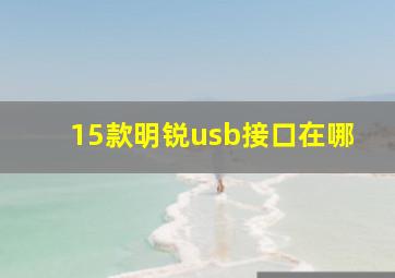 15款明锐usb接口在哪